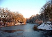 Zima w Parku Dąbrowskiego